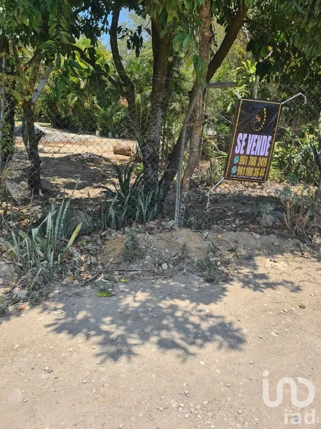 Terreno en Venta en San Miguel, Berriozábal, Chiapas | NEX-278733 | iad México | Foto 1 de 9
