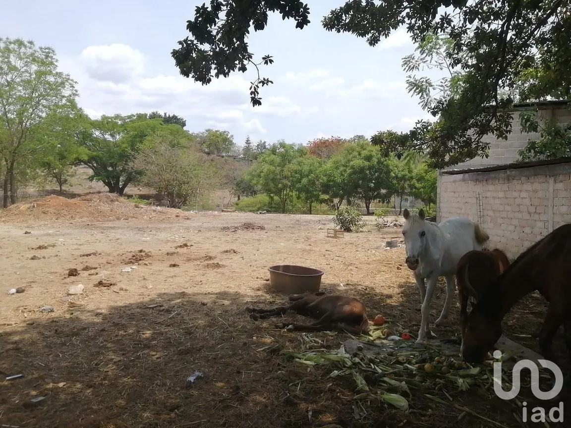 Terreno en Venta en Buenos Aires, Tuxtla Gutiérrez, Chiapas | NEX-278737 | iad México | Foto 2 de 8