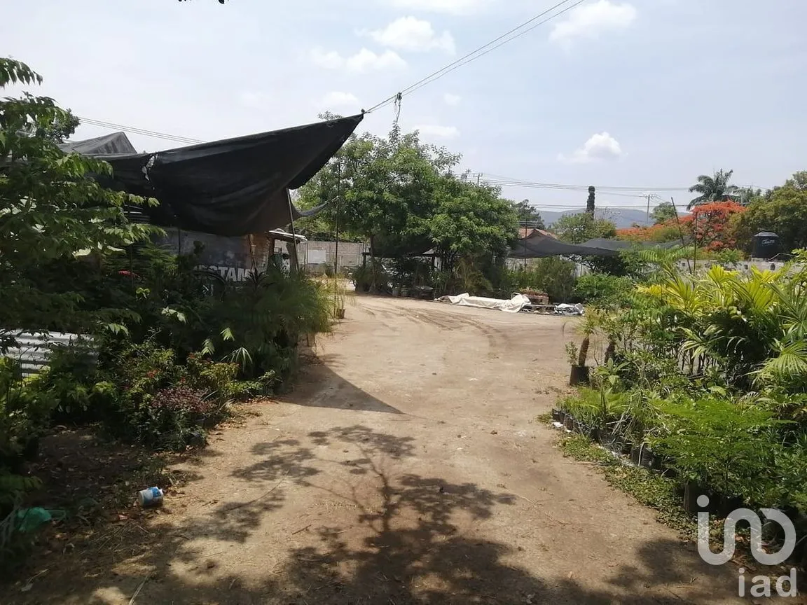 Terreno en Venta en Buenos Aires, Tuxtla Gutiérrez, Chiapas | NEX-278737 | iad México | Foto 4 de 8