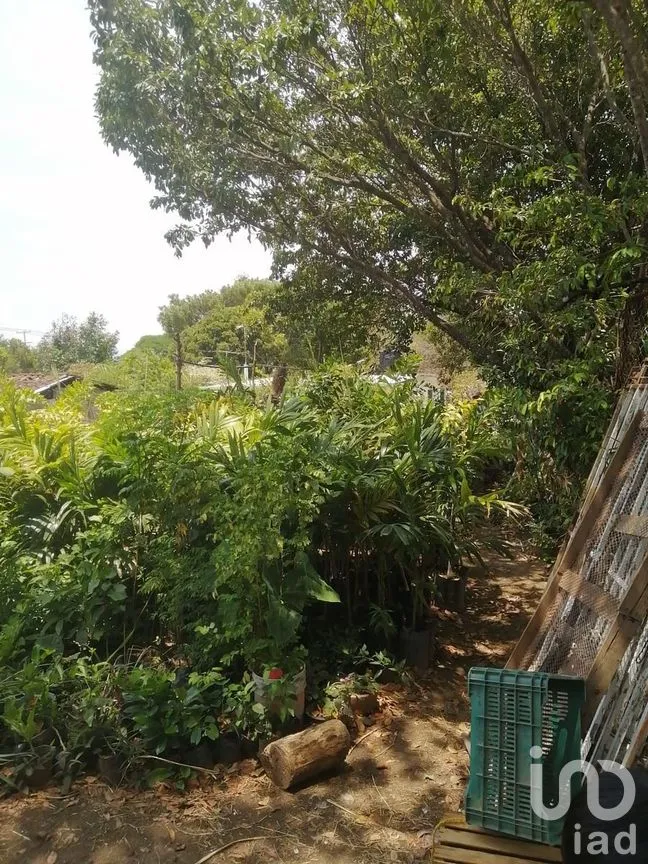 Terreno en Venta en Buenos Aires, Tuxtla Gutiérrez, Chiapas | NEX-278737 | iad M éxico | Foto 5 de 8