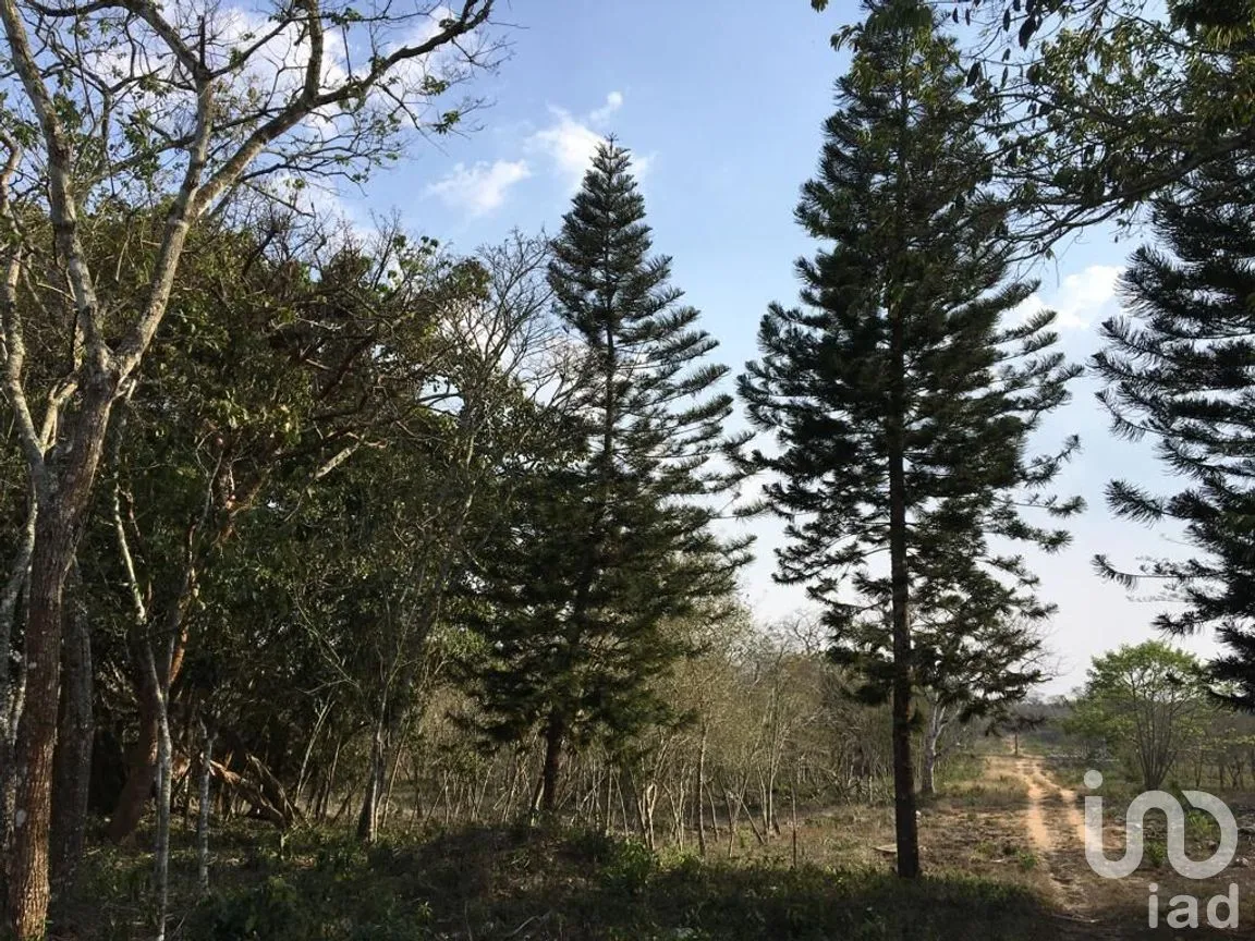 Terreno en Venta en Ocozocoautla de Espinosa Centro, Ocozocoautla de Espinosa, Chiapas | NEX-278740 | iad México | Foto 2 de 13