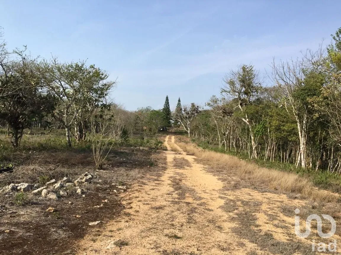 Terreno en Venta en Ocozocoautla de Espinosa Centro, Ocozocoautla de Espinosa, Chiapas | NEX-278740 | iad México | Foto 12 de 13