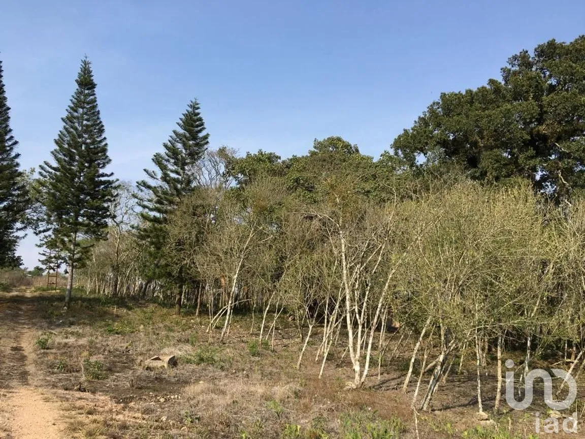 Terreno en Venta en Ocozocoautla de Espinosa Centro, Ocozocoautla de Espinosa, Chiapas | NEX-278740 | iad México | Foto 3 de 13