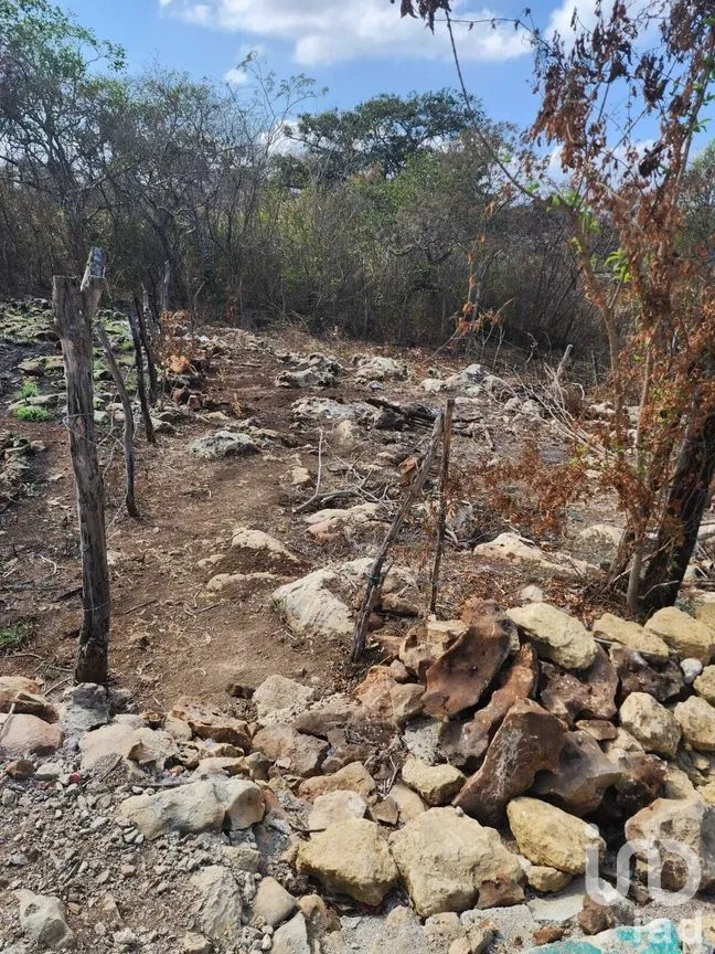 Terreno en Venta en El Jobo, Tuxtla Gutiérrez, Chiapas | NEX-278741 | iad México | Foto 2 de 3