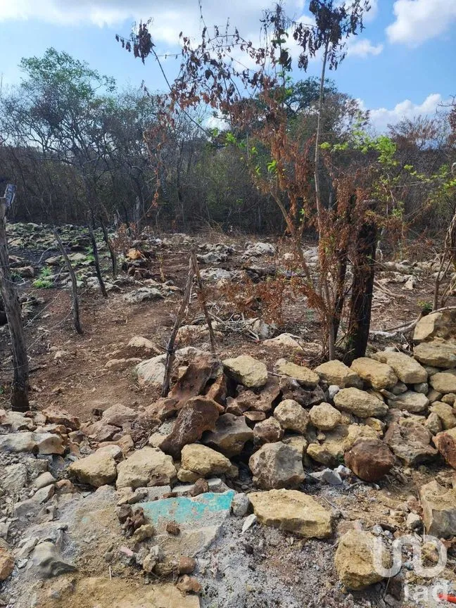 Terreno en Venta en El Jobo, Tuxtla Gutiérrez, Chiapas | NEX-278741 | iad México | Foto 3 de 3