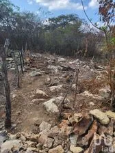 NEX-278741 - Terreno en Venta en El Jobo, CP 29100, Chiapas.