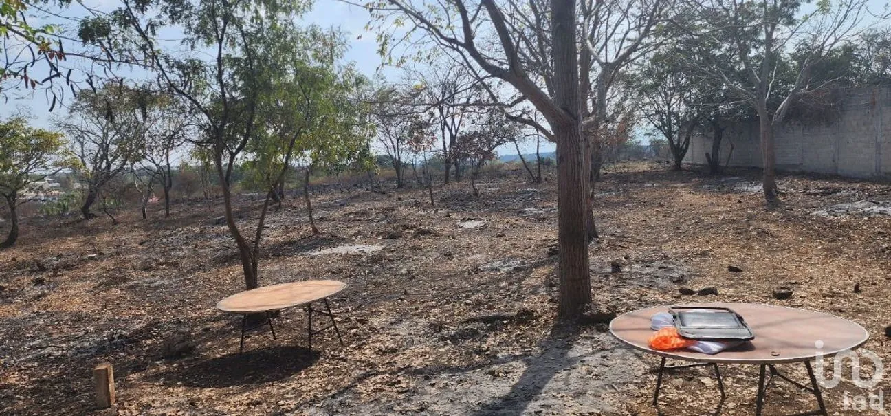 Terreno en Venta en El Jobo, Tuxtla Gutiérrez, Chiapas | NEX-278747 | iad México | Foto 7 de 11