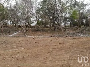 NEX-278747 - Terreno en Venta en El Jobo, CP 29100, Chiapas.