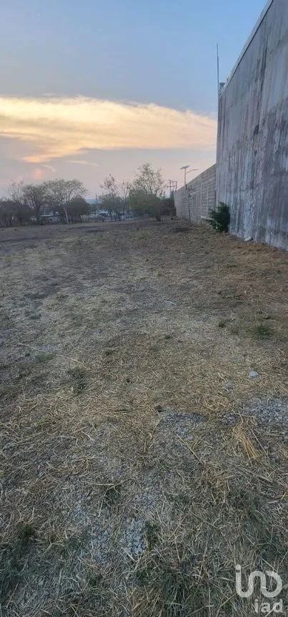 Terreno en Renta en Terán, Tuxtla Gutiérrez, Chiapas | NEX-278750 | iad México | Foto 3 de 10
