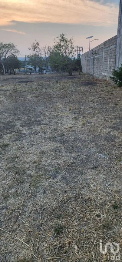 Terreno en Renta en Terán, Tuxtla Gutiérrez, Chiapas | NEX-278750 | iad México | Foto 4 de 10