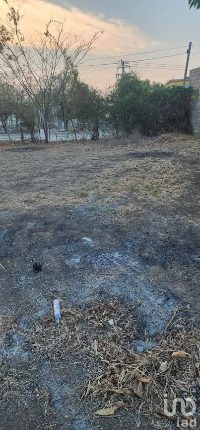 Terreno en Renta en Terán, Tuxtla Gutiérrez, Chiapas | NEX-278750 | iad México | Foto 5 de 10