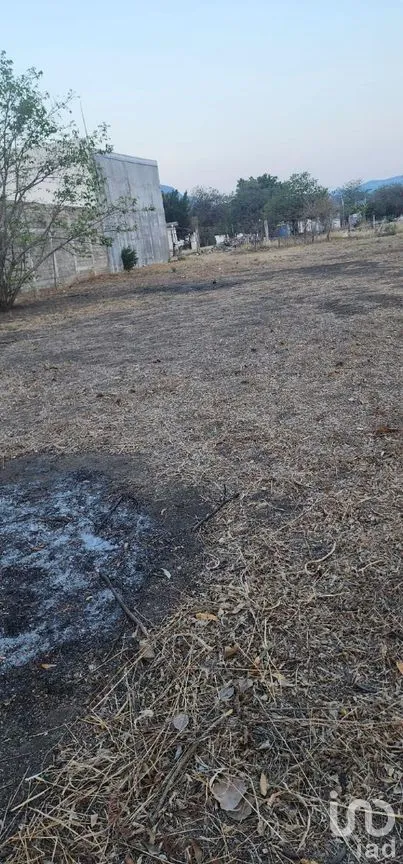 Terreno en Renta en Terán, Tuxtla Gutiérrez, Chiapas | NEX-278750 | iad México | Foto 6 de 10