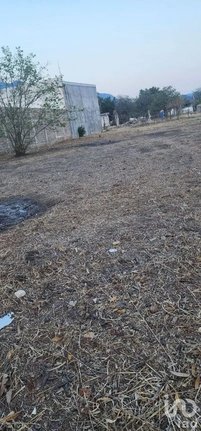 Terreno en Renta en Terán, Tuxtla Gutiérrez, Chiapas | NEX-278750 | iad México | Foto 7 de 10
