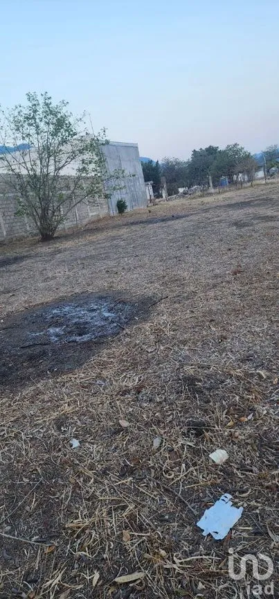 Terreno en Renta en Terán, Tuxtla Gutiérrez, Chiapas | NEX-278750 | iad México | Foto 8 de 10