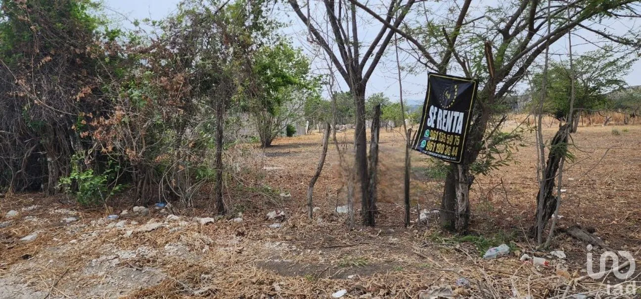 Terreno en Renta en Terán, Tuxtla Gutiérrez, Chiapas | NEX-278750 | iad México | Foto 9 de 10