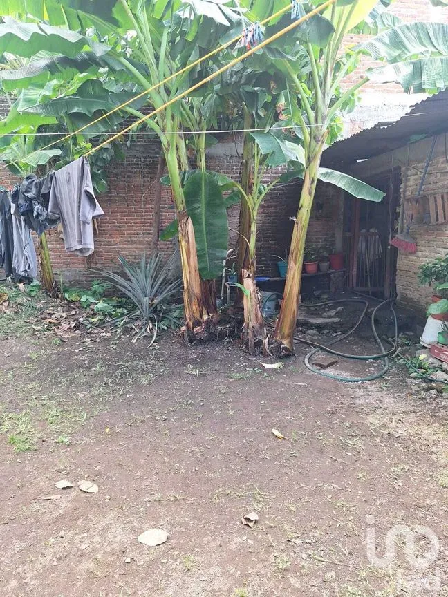 Terreno en Venta en Pacifico, Tapachula, Chiapas | NEX-278760 | iad México | Foto 8 de 14