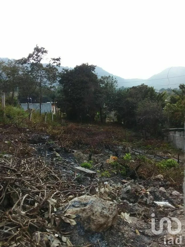 Terreno en Venta en Rivera Cerro Hueco, Tuxtla Gutiérrez, Chiapas | NEX-279786 | iad México | Foto 3 de 4