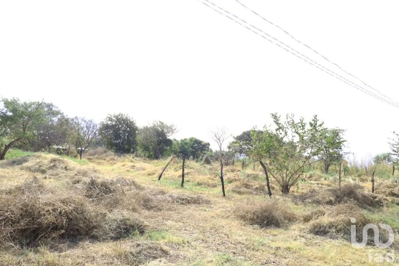 Terreno en Venta en Copoya, Tuxtla Gutiérrez, Chiapas | NEX-279789 | iad México | Foto 5 de 8