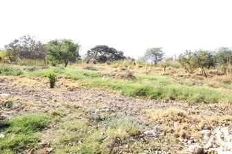 NEX-279789 - Terreno en Venta en Copoya, CP 29100, Chiapas.