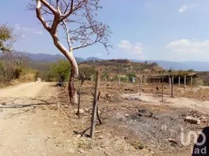 NEX-279790 - Terreno en Venta en Chiapa de Corzo Centro, CP 29160, Chiapas.