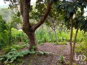 NEX-279793 - Terreno en Venta en Cerro de Guadalupe, CP 29045, Chiapas.
