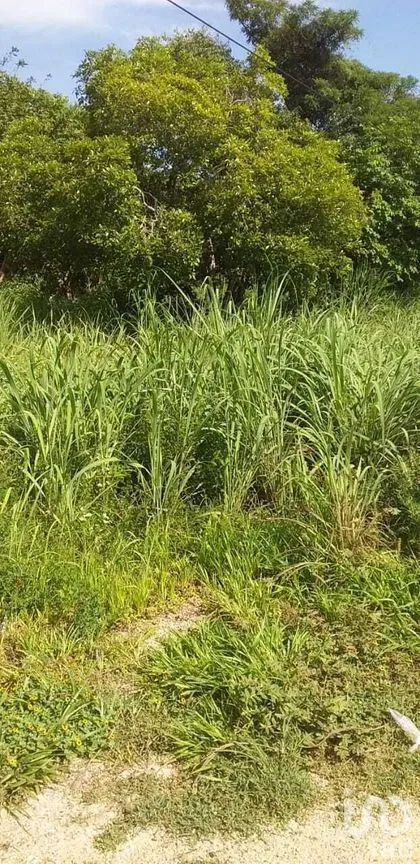 Terreno en Venta en Emiliano Zapata, Tuxtla Gutiérrez, Chiapas | NEX-279794 | iad México | Foto 2 de 4
