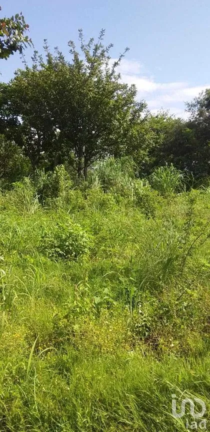 Terreno en Venta en Emiliano Zapata, Tuxtla Gutiérrez, Chiapas | NEX-279794 | iad México | Foto 1 de 4