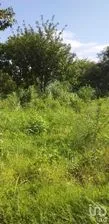 NEX-279794 - Terreno en Venta en Emiliano Zapata, CP 29049, Chiapas.