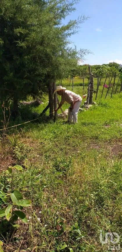 Terreno en Venta en Berriozabal Centro, Berriozábal, Chiapas | NEX-279801 | iad México | Foto 2 de 7