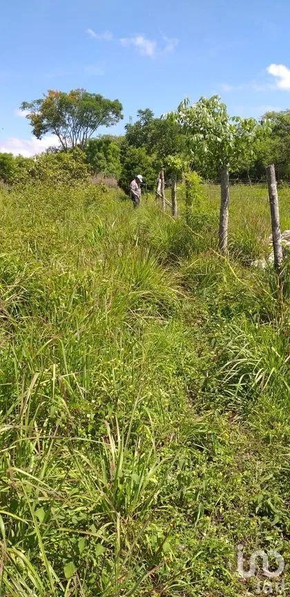Terreno en Venta en Berriozabal Centro, Berriozábal, Chiapas | NEX-279801 | iad México | Foto 3 de 7