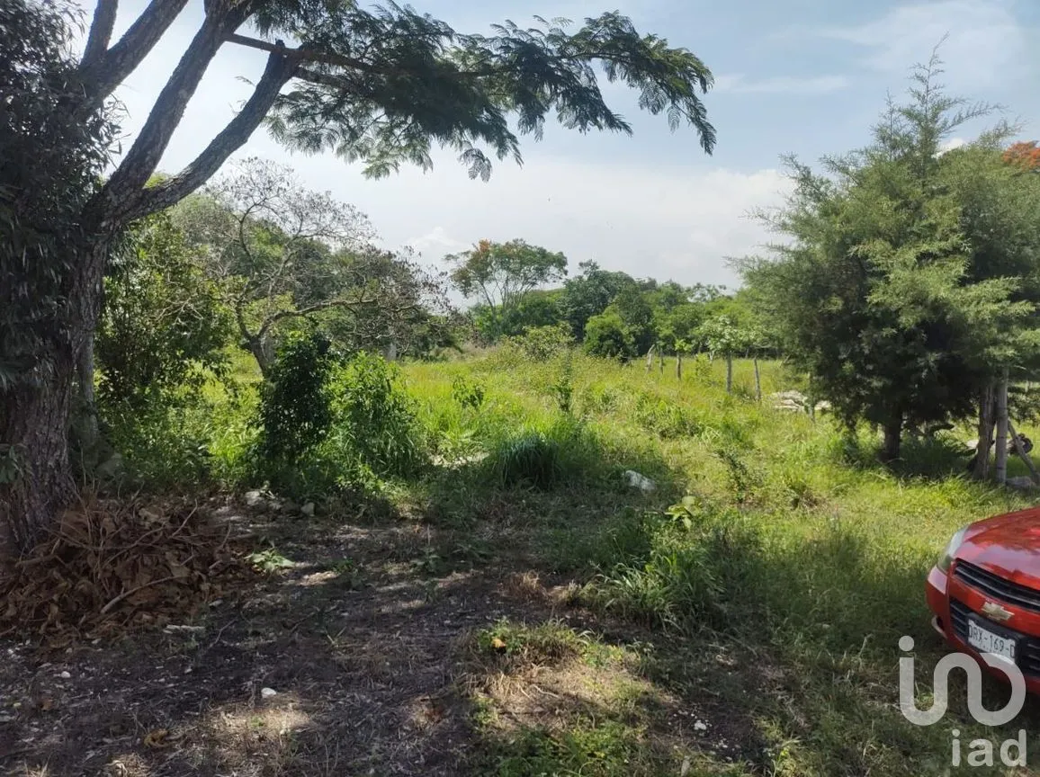 Terreno en Venta en Berriozabal Centro, Berriozábal, Chiapas | NEX-279801 | iad México | Foto 4 de 7