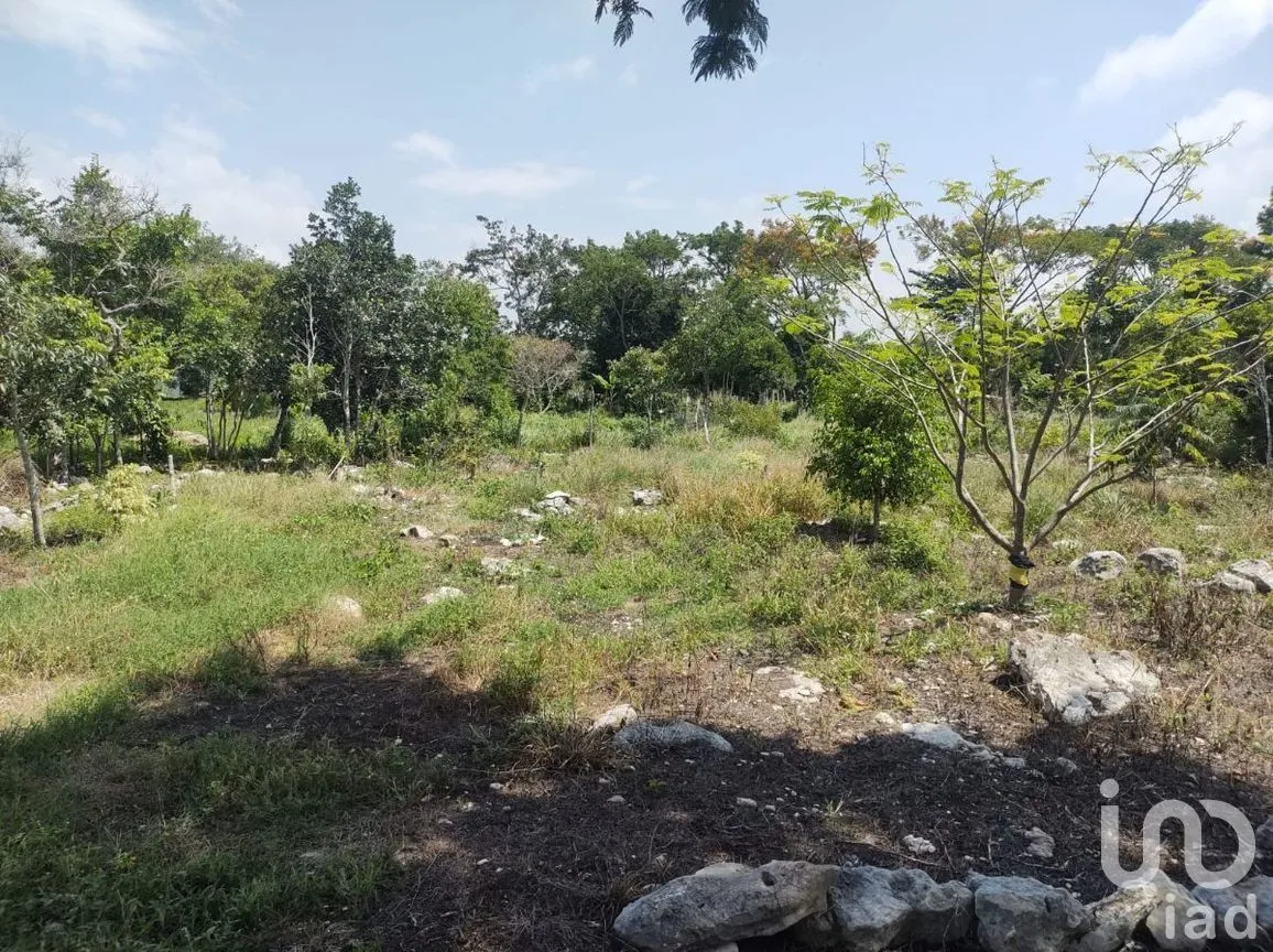 Terreno en Venta en Berriozabal Centro, Berriozábal, Chiapas | NEX-279801 | iad México | Foto 5 de 7