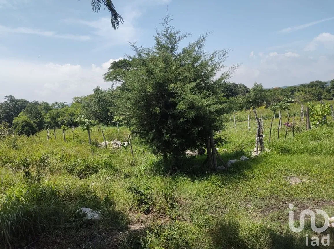 Terreno en Venta en Berriozabal Centro, Berriozábal, Chiapas | NEX-279801 | iad México | Foto 7 de 7