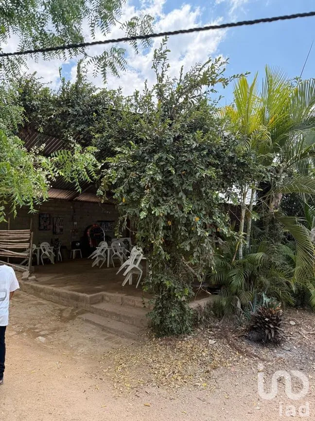 Terreno en Venta en Jiquipilas Centro, Jiquipilas, Chiapas | NEX-279802 | iad México | Foto 3 de 10
