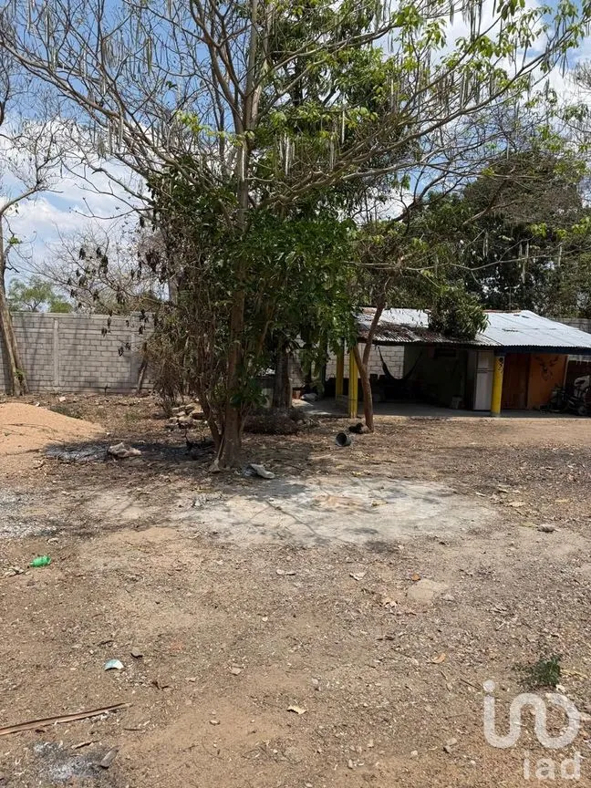 Terreno en Venta en Jiquipilas Centro, Jiquipilas, Chiapas | NEX-279802 | iad México | Foto 8 de 10