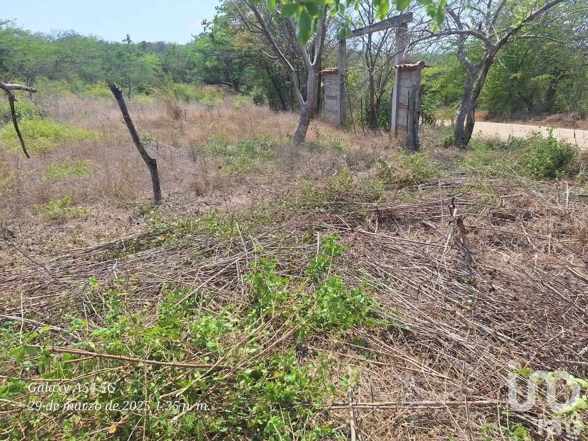 Terreno en Venta en América Libre, Chiapa de Corzo, Chiapas | NEX-279803 | iad México | Foto 6 de 6