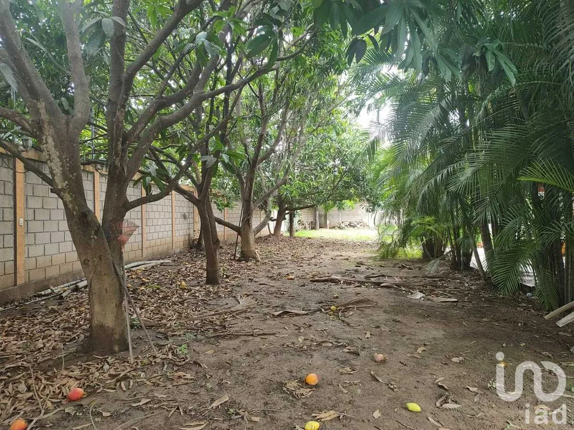 Terreno en Venta en Chiapa de Corzo Centro, Chiapa de Corzo, Chiapas | NEX-279814 | iad México | Foto 15 de 28