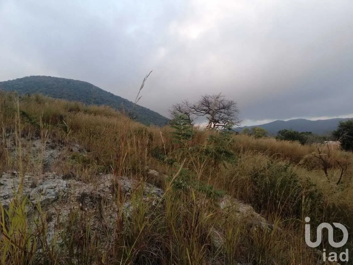 Terreno en Venta en Plan de Ayala, Tuxtla Gutiérrez, Chiapas | NEX-280732 | iad México | Foto 21 de 22
