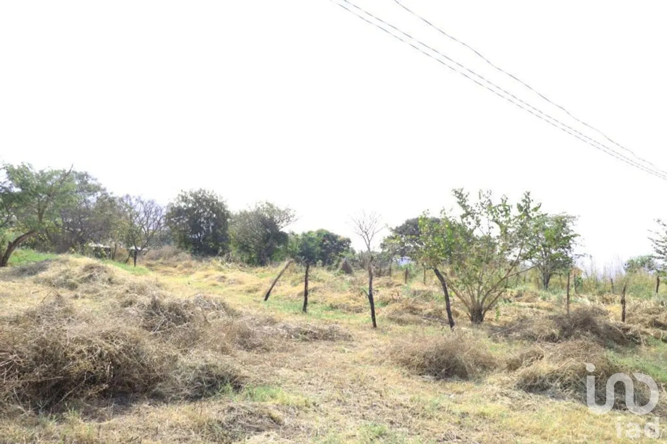 Terreno en Venta en Real del Bosque, Tuxtla Gutiérrez, Chiapas | NEX-280734 | iad México | Foto 8 de 9