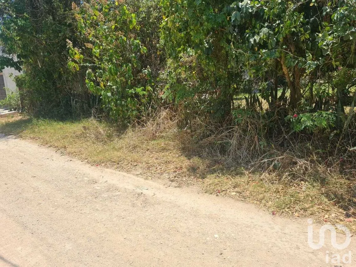 Terreno en Venta en San Miguel, Berriozábal, Chiapas | NEX-280737 | iad México | Foto 3 de 9