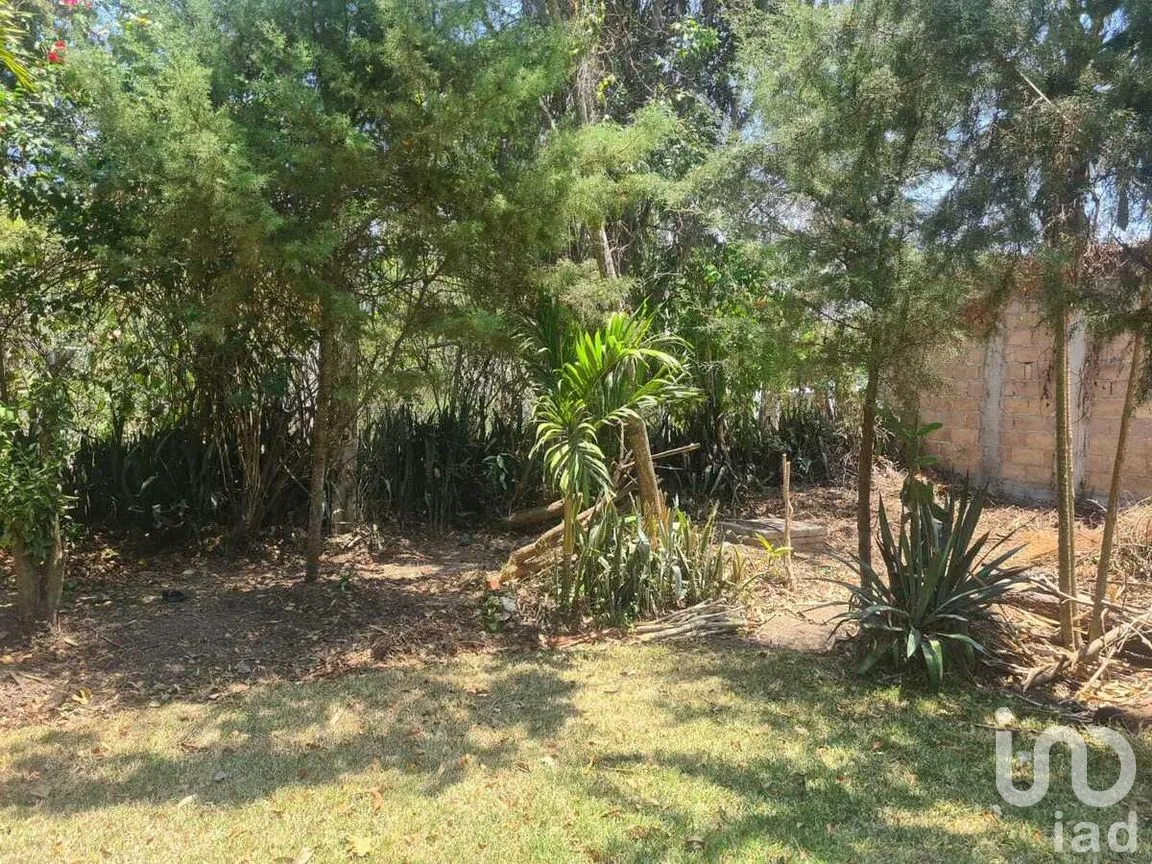 Terreno en Venta en San Miguel, Berriozábal, Chiapas | NEX-280737 | iad México | Foto 4 de 9