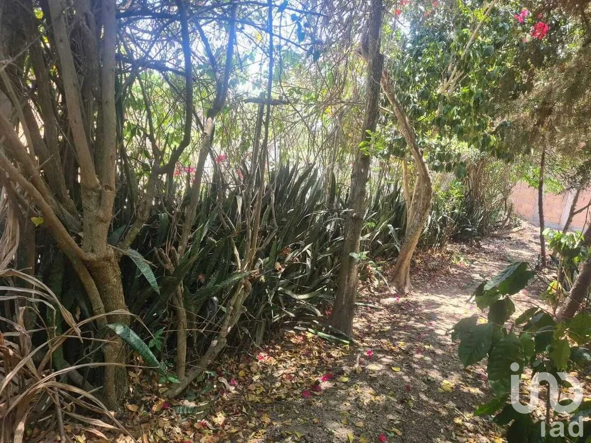 Terreno en Venta en San Miguel, Berriozábal, Chiapas | NEX-280737 | iad México | Foto 6 de 9