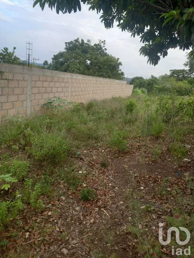 Terreno en Venta en Ocuilapa de Juárez, Ocozocoautla de Espinosa, Chiapas | NEX-280739 | iad México | Foto 11 de 12