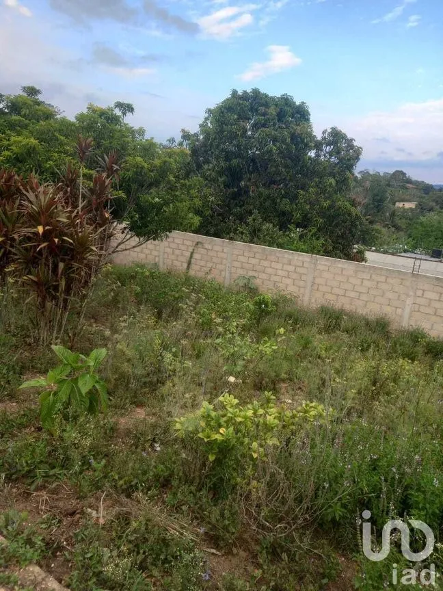 Terreno en Venta en Ocuilapa de Juárez, Ocozocoautla de Espinosa, Chiapas | NEX-280739 | iad México | Foto 7 de 12