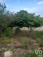 NEX-280739 - Terreno en Venta en Ocuilapa de Juárez, CP 29143, Chiapas.