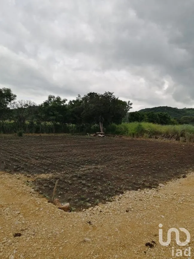 Terreno en Venta en Ocozocoautla de Espinosa Centro, Ocozocoautla de Espinosa, Chiapas | NEX-280746 | iad México | Foto 6 de 7