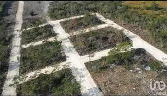 NEX-280751 - Terreno en Venta en Campestre Arenal, CP 29057, Chiapas.