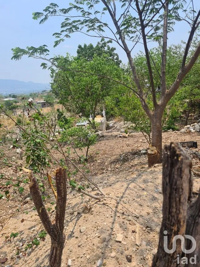 Terreno en Venta en Nuevo Bochil, Chiapa de Corzo, Chiapas | NEX-280752 | iad México | Foto 8 de 10
