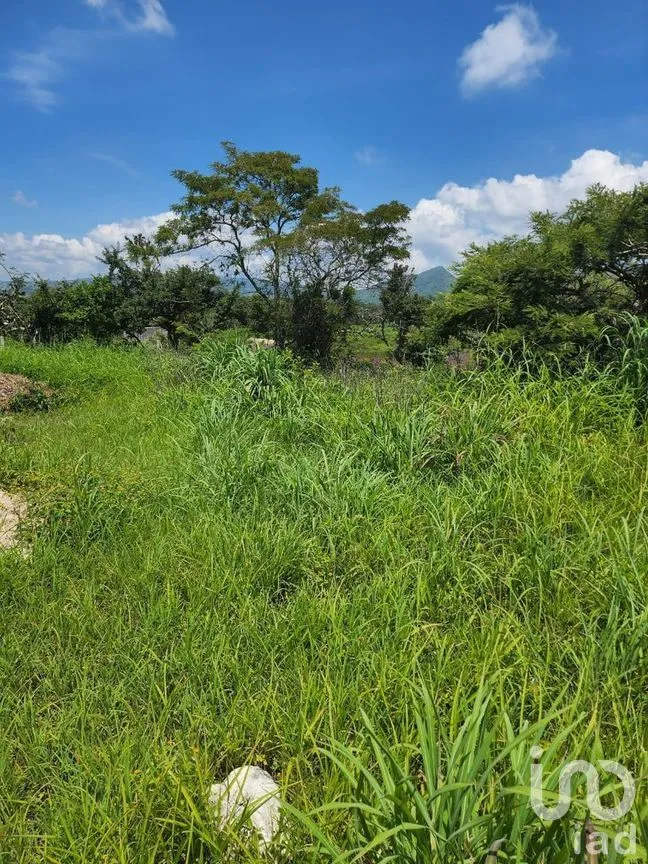 Terreno en Venta en Berriozabal Centro, Berriozábal, Chiapas | NEX-280755 | iad México | Foto 3 de 8