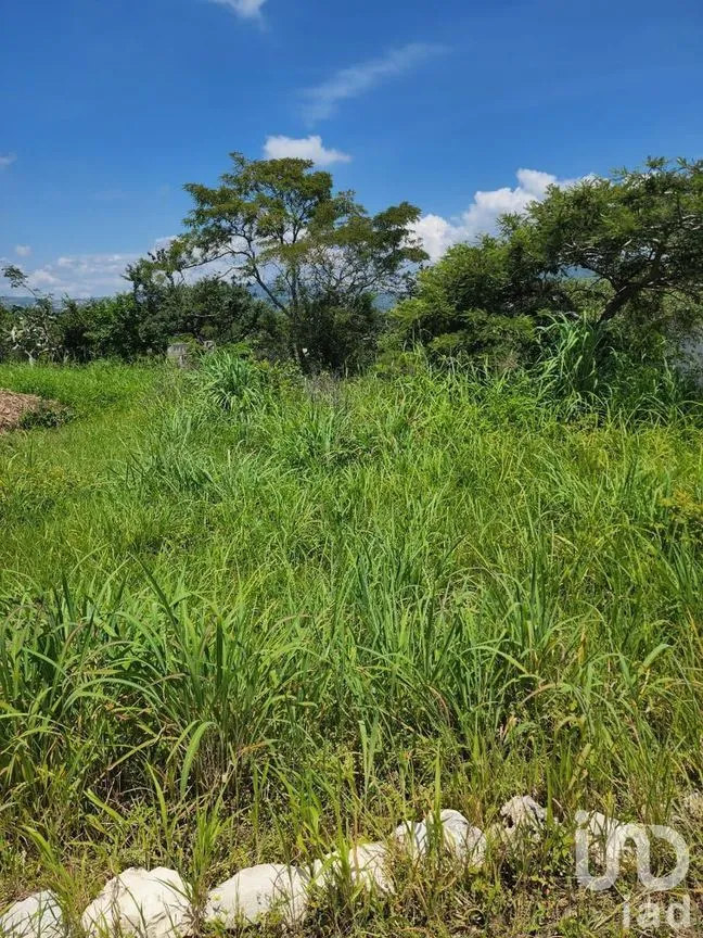 Terreno en Venta en Berriozabal Centro, Berriozábal, Chiapas | NEX-280755 | iad México | Foto 5 de 8